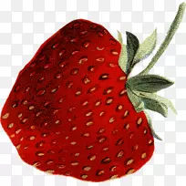 草莓-草莓