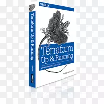 TerraForm：启动和运行：将基础设施编写为代码，google云平台，云计算-云计算