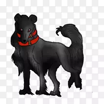 狗猫鼻子野生动物尾巴狗