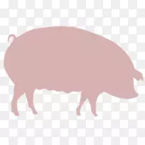 国内养猪场剪贴画-猪