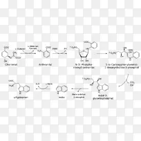 色氨酸-莽草酸途径合成脉络酸化学合成-其它途径