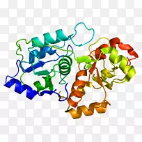 蛋白质mt-Nd1亚硝基化锰基因