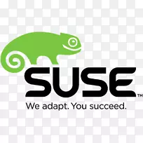 SUSE Linux发行版计算机服务器suse linux企业桌面opensuse-linux