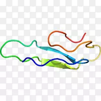 生物线动物剪贴画线
