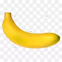 香蕉塑料水果食品Musa×Paradisiaca-香蕉
