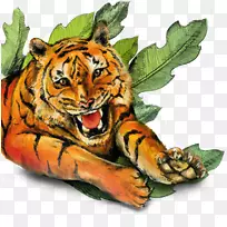虎猫地球野生动物拯救地球