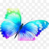 蝴蝶桌面壁纸夹艺术.彩色蝴蝶