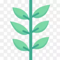 叶绿色植物茎