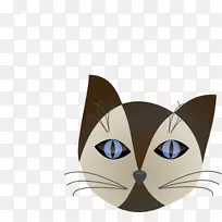 胡须小猫暹罗猫沙奇眼猫