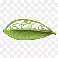 环境友好型可再生能源自然环境商业可持续性-自然环境