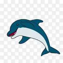 普通宽吻海豚短喙普通海豚图库溪粗齿海豚全口海豚