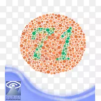 石原慎太郎试验色盲眼睛检查视力损害彩色视力.眼睛