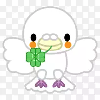 石鸽科白鸟