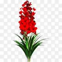 红花生日剪贴画-花