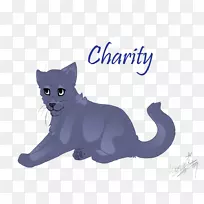 科拉特胡须小猫家养短毛猫黑猫猫