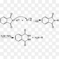 邻苯二甲酰亚胺钾加布里埃尔合成化学反应合成
