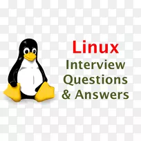 前50个节点。JS面试问题和答案linux嵌入式系统工作面试-问答