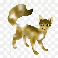 胡须小猫红狐猫动物-小猫