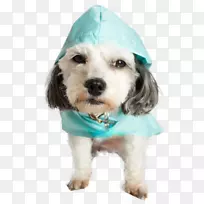 罗布小狗雨衣-小狗