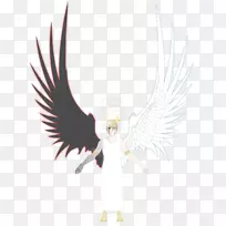 鹰卡通喙羽鹰