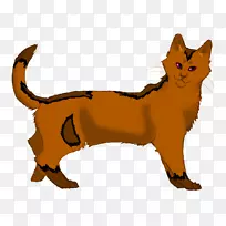 胡须狗红狐猫毛皮狗