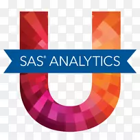 SAS研究所预测分析业务分析-png标注