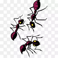 昆虫花瓣蚁叶剪贴画-昆虫