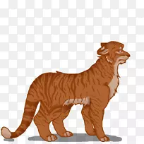 狮子虎猫科老鼠-狮子