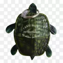 池塘龟海龟