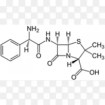 氨苄西林化学配方结构配方药物结构自旋柱DNA提取