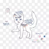 胡须猫素描百合花素描