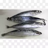 沙丁鱼、太平洋锯鱼产品、鲭鱼-鱼