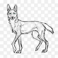 犬种红狐线艺术画狗