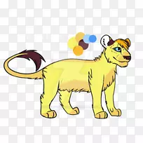 狮子大猫陆生动物-狮子幼崽