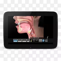APP存储肺部吸入性苹果吞咽-WA透明apk