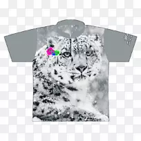 雪豹喜马拉雅猫濒危物种-豹