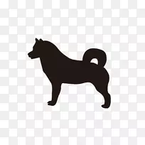 犬种阿拉斯加短尾犬