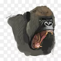 普通黑猩猩西部大猩猩鼻子-大猩猩绘画