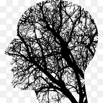 人脑认知神经科学经颅磁刺激认知训练