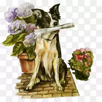犬种剪贴画