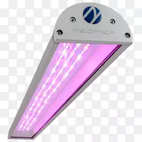 发光二极管生长光LED灯照明.光