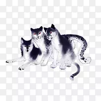 胡须小猫野生动物尾猫