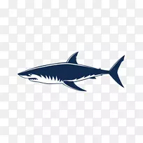 大白鲨颌骨-鲨鱼免费下载