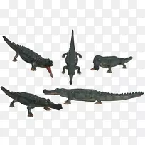鳄鱼动物群陆生动物-鳄鱼