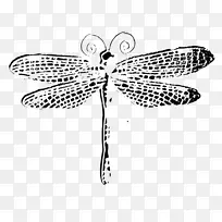 蝴蝶画夹艺术-蜻蜓画