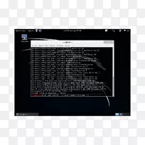 APT gnu/linux kali linux ubuntu多媒体-linux