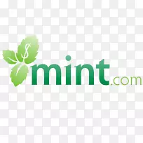 Mint.com个人理财加快预算-银行