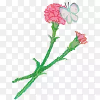 康乃馨花瓣玫瑰花