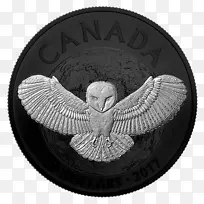 猫头鹰加拿大银币夜生活-猫头鹰