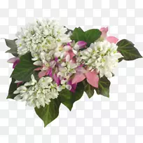 绣球花